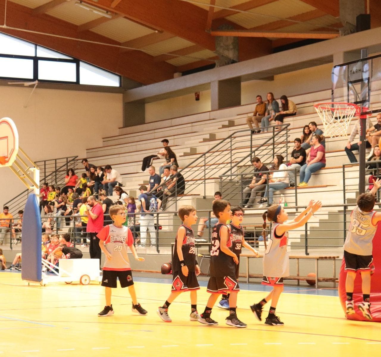 ser-atleta-gumiraes-basket https://www.gumiraesbasket.com/wp-content/uploads/2024/06/ser-atleta-gumiraes-basket-1280x1200.jpg